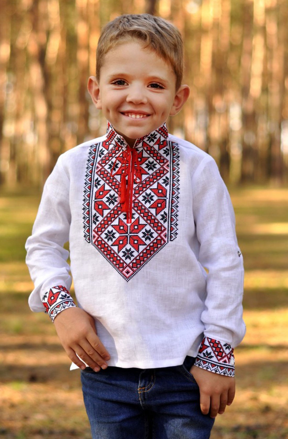 Embroidered shirts for boys