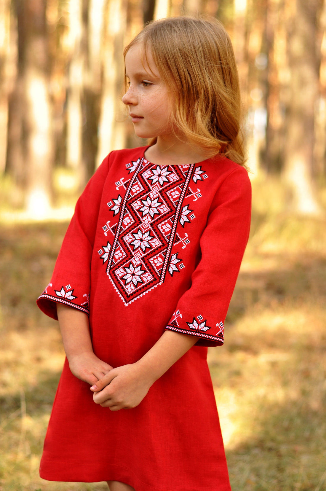 Dress For A Girl With Embroidery Made Of Natural Fabric Ornament