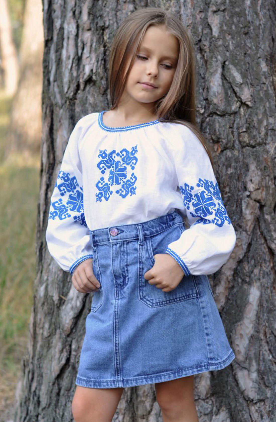 Embroidered Blouse With Blue Embroidery Ornament