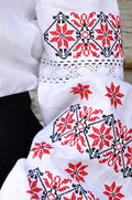 Women's Vyshyvanka with Traditional Ukrainian Ornament Ornament